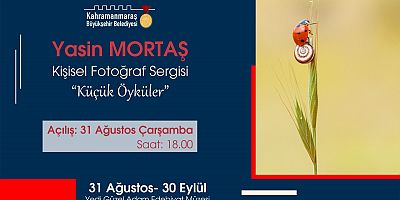 “KÜÇÜK ÖYKÜLER” SERGİSİ YEDİ GÜZEL ADAM EDEBİYAT MÜZESİNDE AÇILIYOR