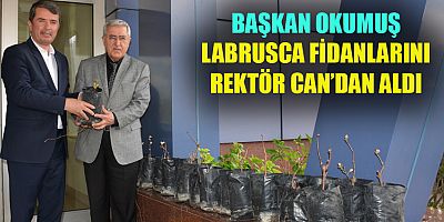 LABRUSCA ÜZÜM YETİŞTİRİCİLİĞİ ÇALIŞMALARINA BAŞLANDI