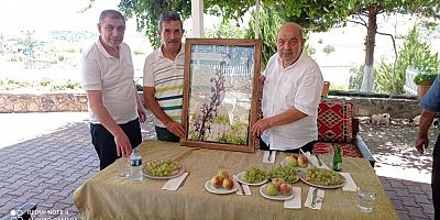 MADO’YA BİR ÖDÜL DE TEMİZDEMİR’DEN