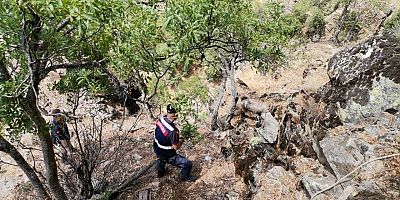  MAHSUR KALAN KEÇİLERİ JANDARMA EKİPLERİ KURTARDI