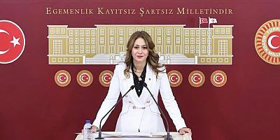 MHP KAHRAMANMARAŞ MİLLETVEKİLİ DOÇ. DR. ZÜHAL KARAKOÇ DORA: “FİZİKİ YENİDEN YAPILANMANIN YANINDA SOSYAL VE EKONOMİK KALKINMA DA ŞART”