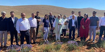 MİLLETVEKİLİ ÖÇAL, “AFŞİN LAVANTA TARLALARIYLA TÜRKİYE’DE ÖRNEK BİR İLÇE OLDU”