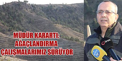 MÜDÜR KARARTI YANGINLARDA ZARAR GÖREN ALANLARI YENİDEN AĞAÇLANDIRIYORUZ