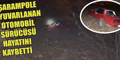 NURHAK’TA OTOMOBİL ŞARAMPOLE YUVARLANDI: 1 ÖLÜ
