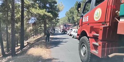 ORMAN YANGINI KONTROL ALTINA ALINDI