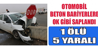  OTOMOBİLİN BARİYERLERE ÇARPMASI SONUCU 1 KİŞİ ÖLDÜ, 5 KİŞİ YARALANDI