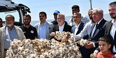 PAZARCIK SARIMSAĞI DÜNYAYA ULAŞIYOR