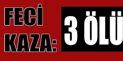 PİKAP ŞARAMPOLDEN AŞAĞI DÜŞTÜ: 3 ÖLÜ