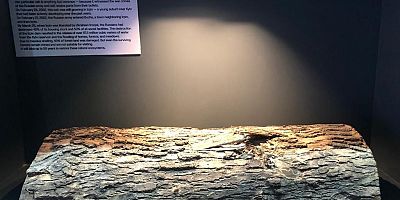 PROF.DR. CIRIK, “İKLİM DEĞİŞİKLİĞİ AÇISINDAN AKDENİZ HAVZASININ EN KIRILGAN BÖLGESİ TÜRKİYE’DİR”