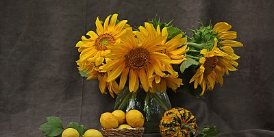 RESİM ÖĞRETMENLERİNDEN FOTOĞRAF SERGİSİ