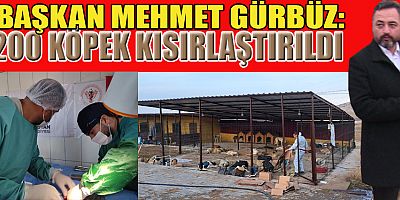 RUHSATI ALINAN BARINAKTA, 200 KÖPEK KISIRLAŞTIRILDI