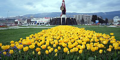 ŞEHİR ÇİÇEK AÇTI KAVŞAKLARDA GÖRSEL ŞÖLEN