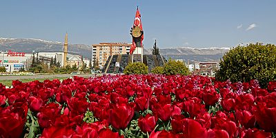 ŞEHİR ÇİÇEKLERLE RENKLENDİ