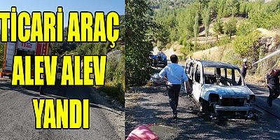 SEYİR HALİNDE ALEV ALAN ARAÇ ORMAN YANGINA NEDEN OLDU
