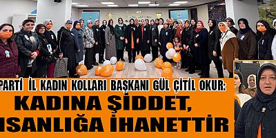 TEK BİR KADINA YÖNELİK ŞİDDETE DAHA TAHAMMÜLÜMÜZ YOK