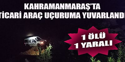 TİCARİ ARAÇ UÇURUMA YUVARLANDI: 1 ÖLÜ 1 YARALI