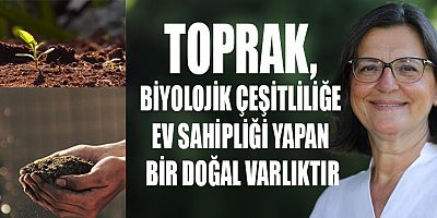 TOPRAĞI KORURSAN YAŞAMI DA  BİYOLOJİK ÇEŞİTLİLİĞİ DE KORURSUN