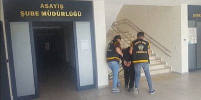 TRAFO HIRSIZI YAKALANDI