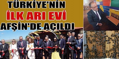 TÜRKİYE'NİN İLK ARI EVİ AFŞİN'DE AÇILDI