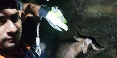 TÜRKOĞLU’DA İTFAİYE EKİPLERİNDEN KEÇİ KURTARMA OPERASYONU 