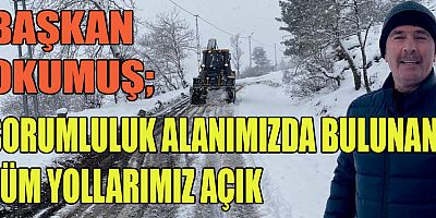 TÜRKOĞLU’NDA ANA ARTERLER VE GRUP YOLLARI AÇIK