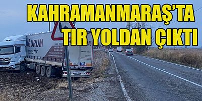 TÜRKOĞLU’NDA YOLDAN ÇIKAN TIR TARLAYA SAVRULDU