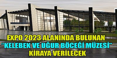UĞUR BÖCEĞİ VE KELEBEK MÜZESİ