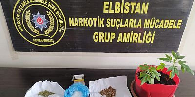 UYUŞTURUCU YETİŞTİRDİLER TUTUKLANDILAR