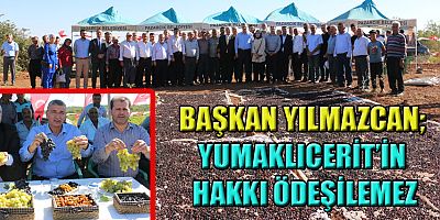 ÜZÜM DEPOSU PAZARCIK’TA BAĞ BOZUM ŞENLİĞİ DÜZENLENDİ