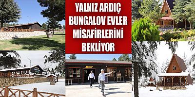 YALNIZ ARDIÇ BUNGALOV EVLER MİSAFİRLERİNİ BEKLİYOR