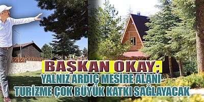 YALNIZ ARDIÇ MESİRE ALANI PROJESİNDE SONA GELİNDİ