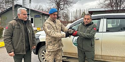 YARALI ATMACA’YA JANDARMA EKİPLERİ SAHİP ÇIKTI