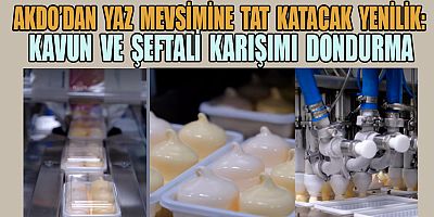 YENİLİK AKDO'DAN SORULUR