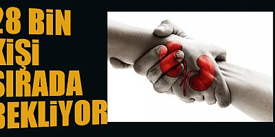 YILDA 7 İLA 8 BİN KİŞİ HAYATINI KAYBEDİYOR