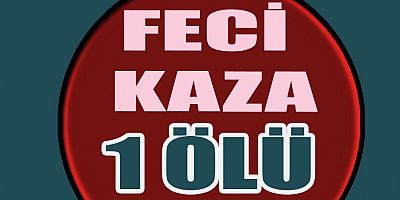 YOLU KARŞIDAN KARŞIYA GEÇEMEDİ