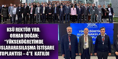 YÜKSEKÖĞRETİMDE ULUSLARARASILAŞMA İSTİŞARE TOPLANTISI-4